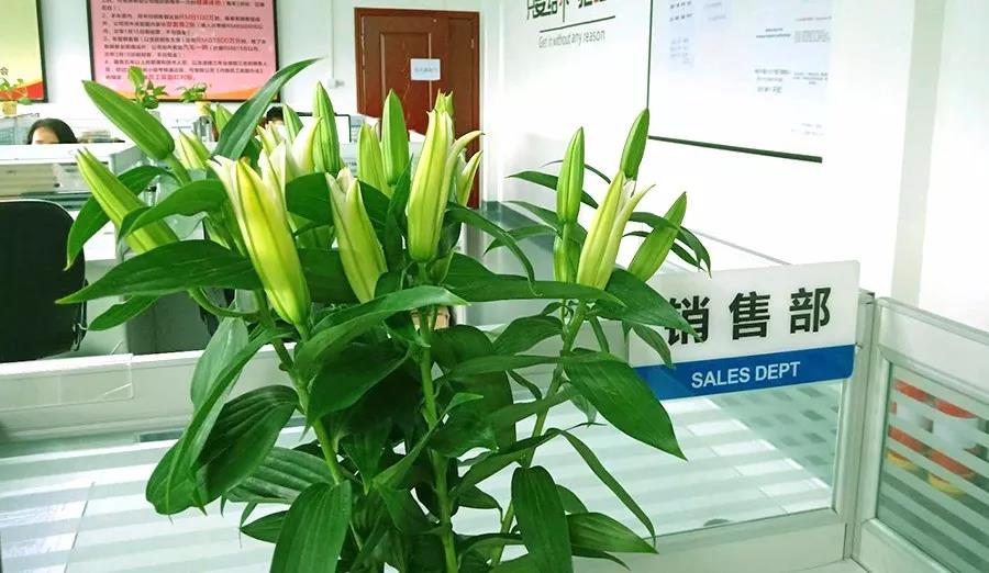 濃情七夕，最美祝福！